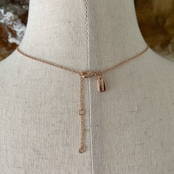 Coach Women's Signature Stone Tea
Rose 3-Piece Jewelry Set necklace earrings BN - Picture 4 of 11